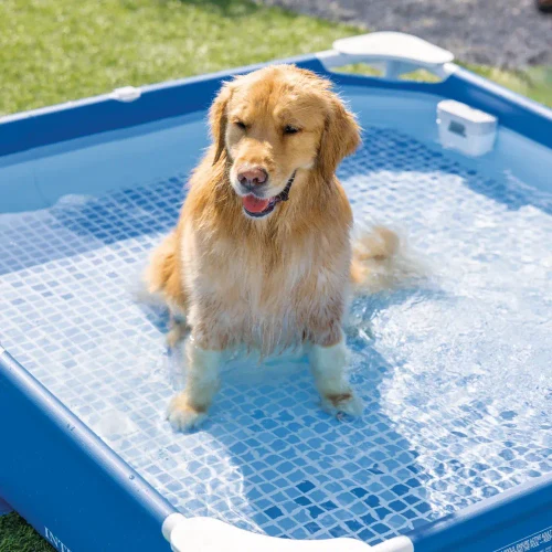 Металлический каркасный бассейн для домашних животных Pet Pool 152×152×30 см, 537 л, фильтр 1136 л/ч, скиммер и брезент, Intex (48402)