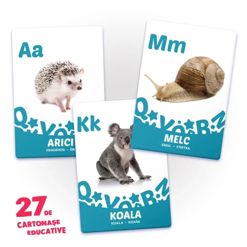 27 карт. Я учу алфавит (00934)