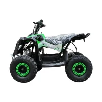 Cvadriciclu din metal pentru copii RTM50 / 3 verde 3
