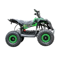Cvadriciclu din metal pentru copii RTM50 / 3 verde 2