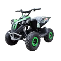 Cvadriciclu din metal pentru copii RTM50 / 3 verde