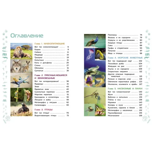 Животные. Большая детская энциклопедия (13713)