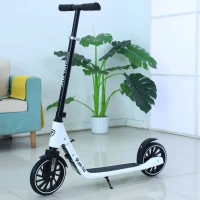 Trotinetă pentru copii cu 2 roți, ghidon reglabil și frână de picior, alb, RTM Scooter (66991) 2