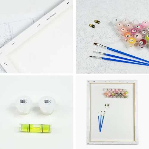 Картина по номерам Акула-Пират, 30х30 см, Стратег (ES087)