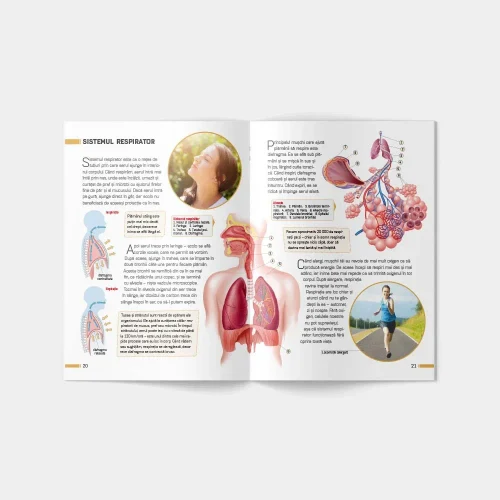 Энциклопедия. Тело человека (03539)